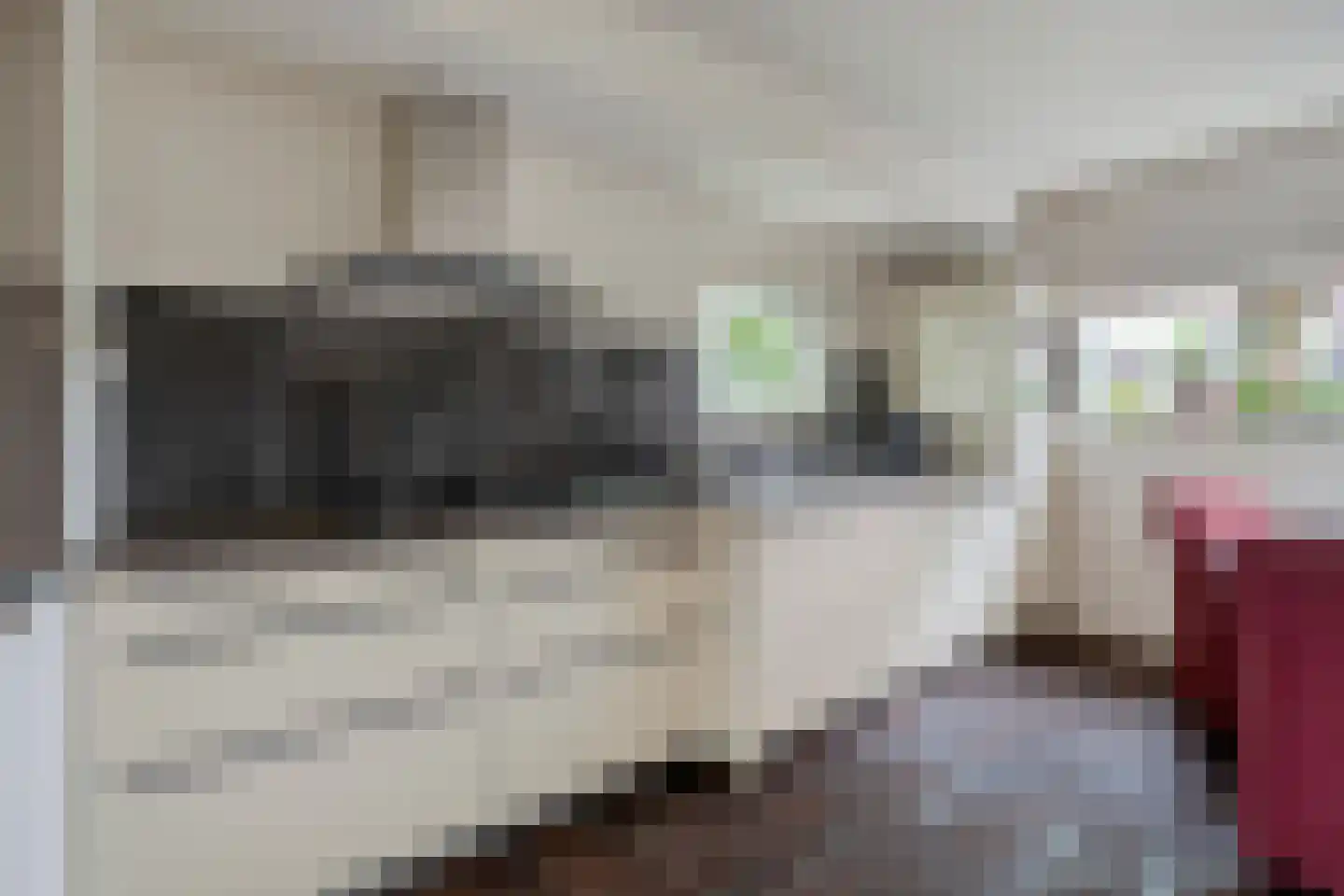 Wouwseweg 23 Halsteren thumbnail 17