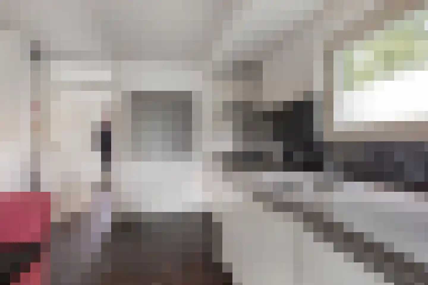 Wouwseweg 23 Halsteren thumbnail 18