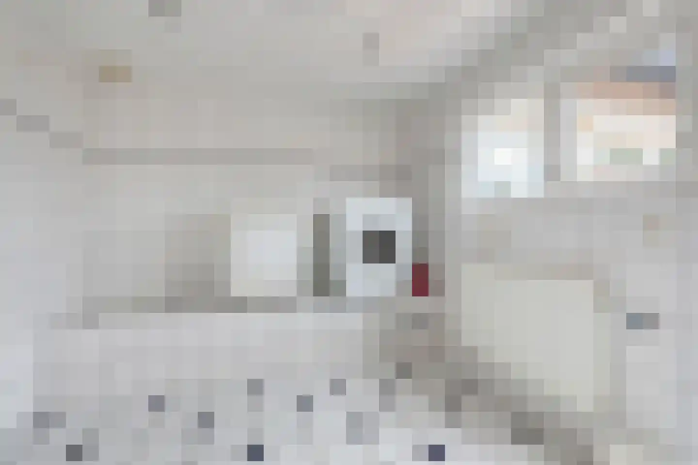 Wouwseweg 23 Halsteren thumbnail 20
