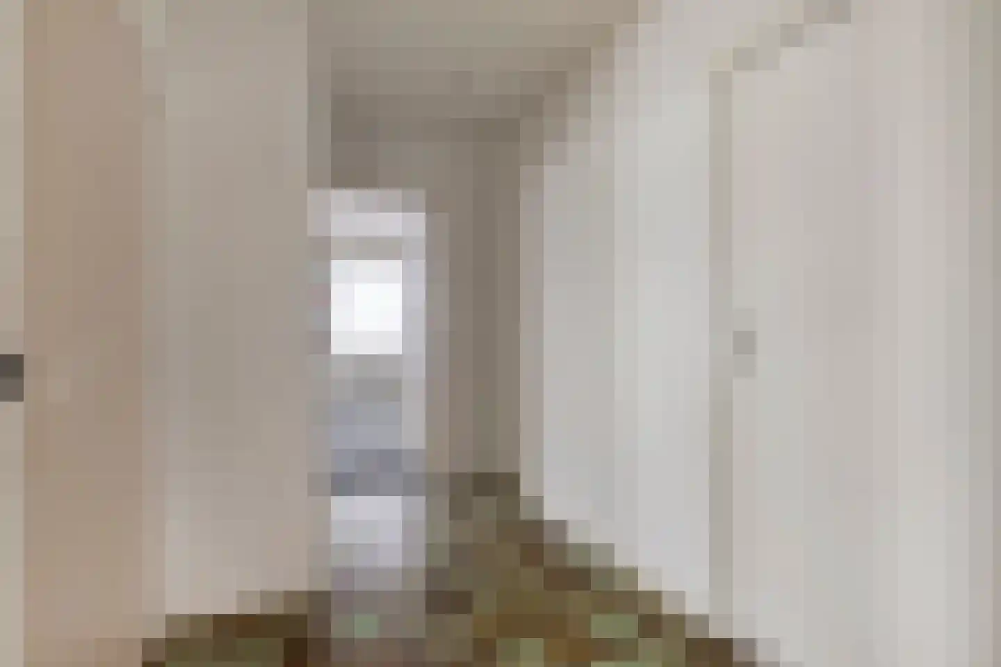 Wouwseweg 23 Halsteren thumbnail 21
