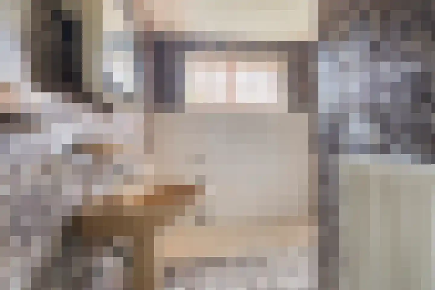 Wouwseweg 23 Halsteren thumbnail 28