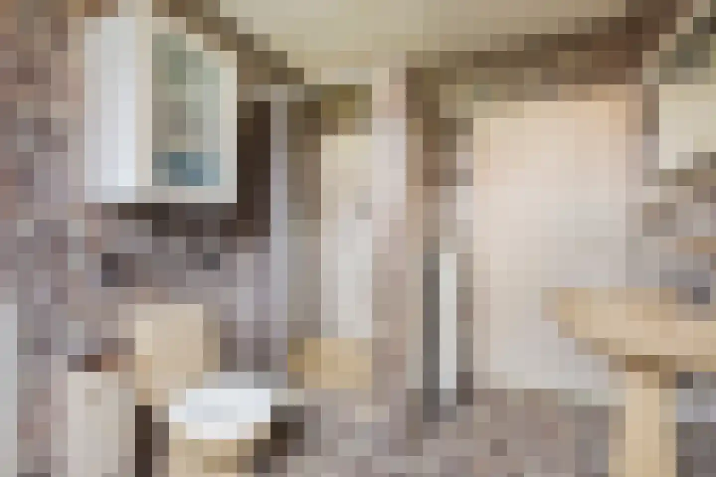Wouwseweg 23 Halsteren thumbnail 29
