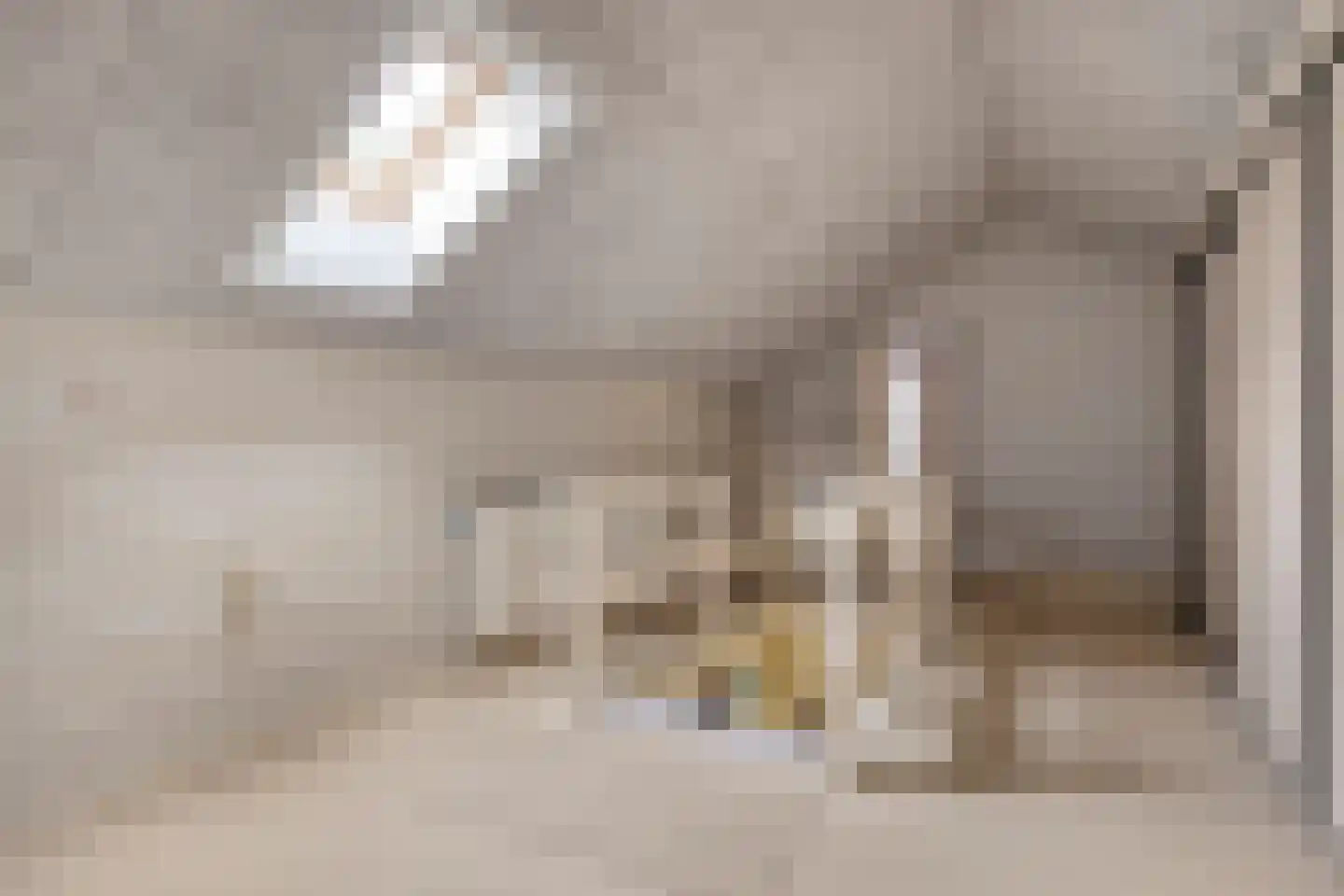 Wouwseweg 23 Halsteren thumbnail 30