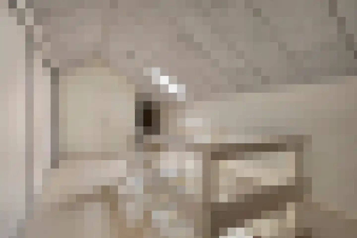 Wouwseweg 23 Halsteren thumbnail 31