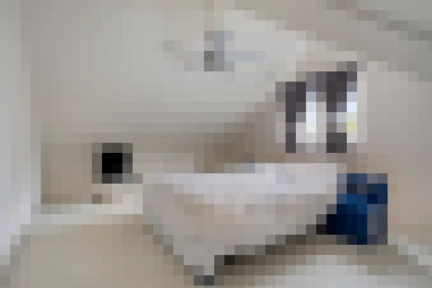 Wouwseweg 23 Halsteren thumbnail 33
