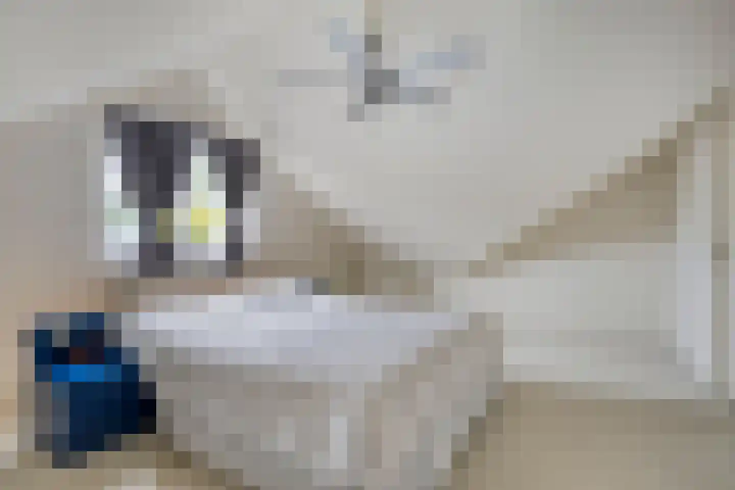 Wouwseweg 23 Halsteren thumbnail 34