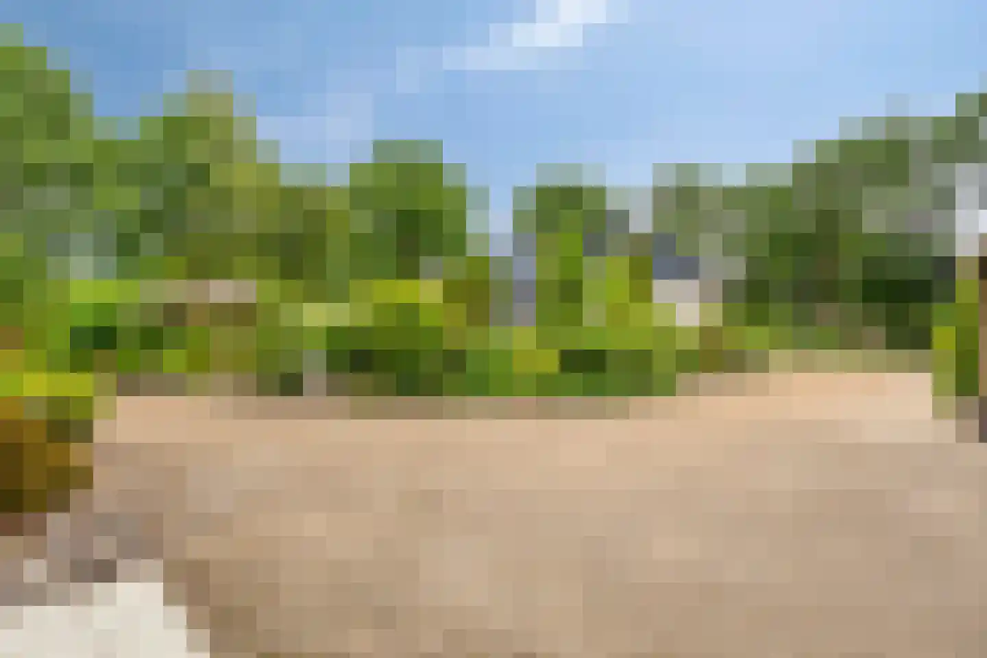 Wouwseweg 23 Halsteren thumbnail 44