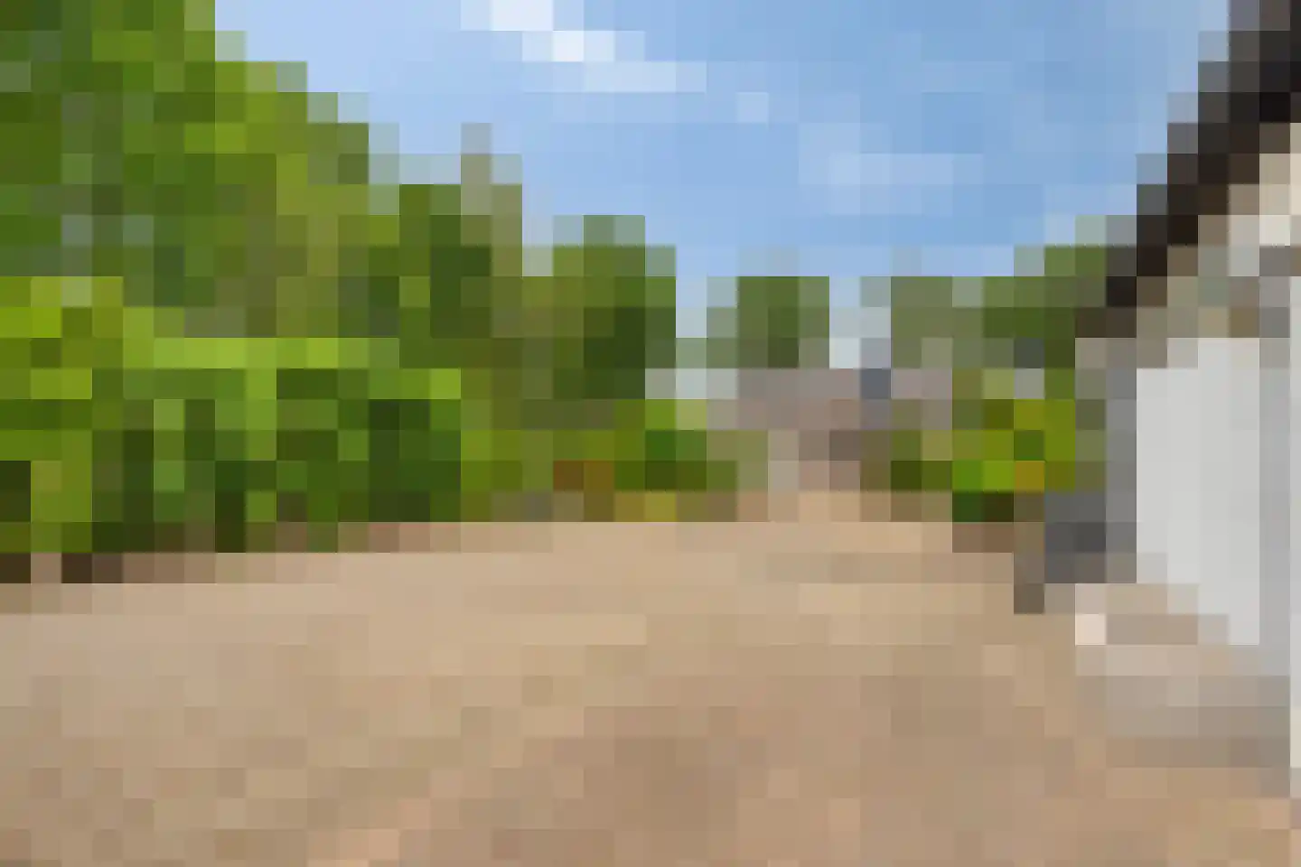 Wouwseweg 23 Halsteren thumbnail 45