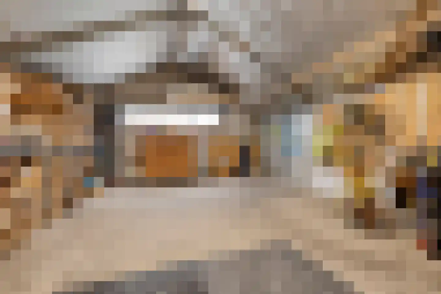 Wouwseweg 23 Halsteren thumbnail 48