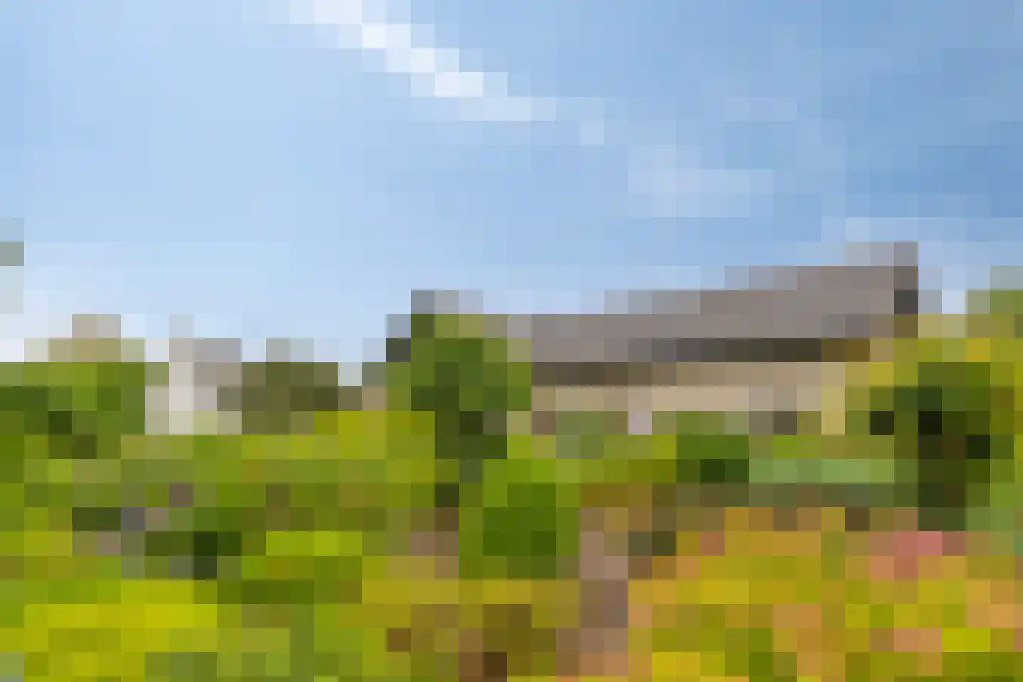 Wouwseweg 23 Halsteren thumbnail 5