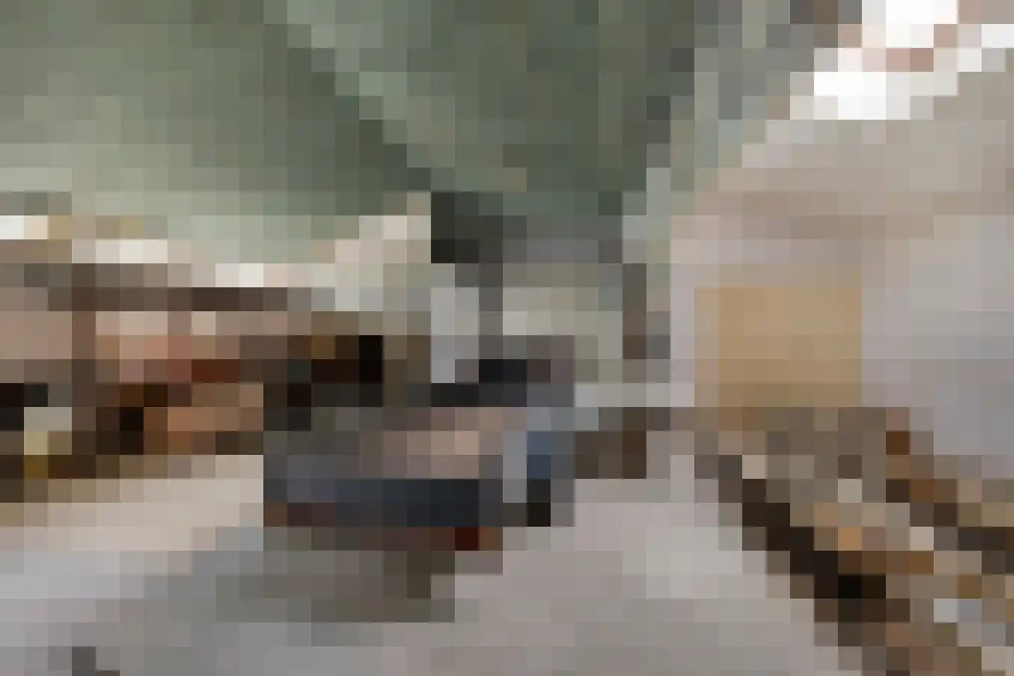 Wouwseweg 23 Halsteren thumbnail 50