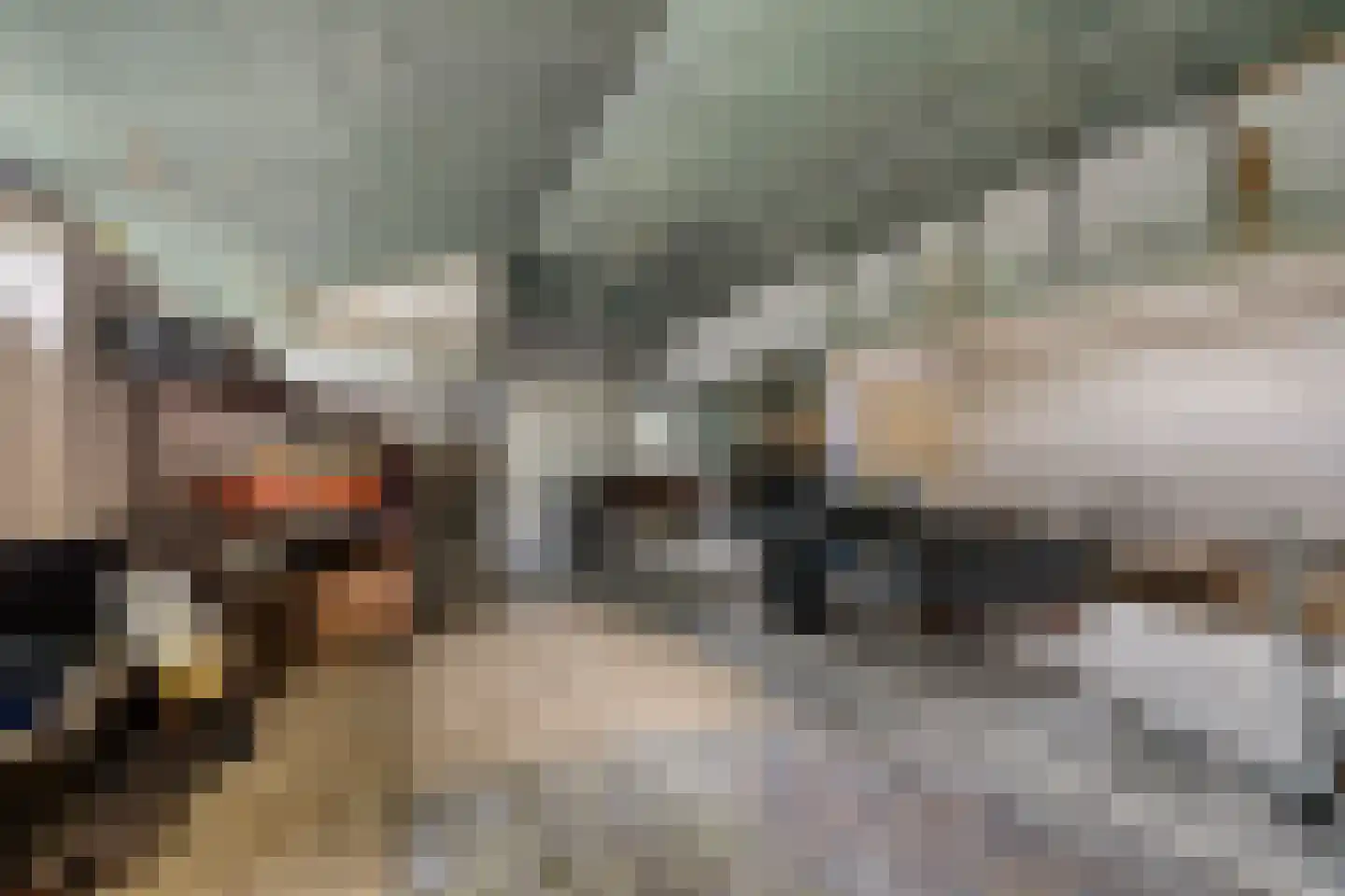 Wouwseweg 23 Halsteren thumbnail 51