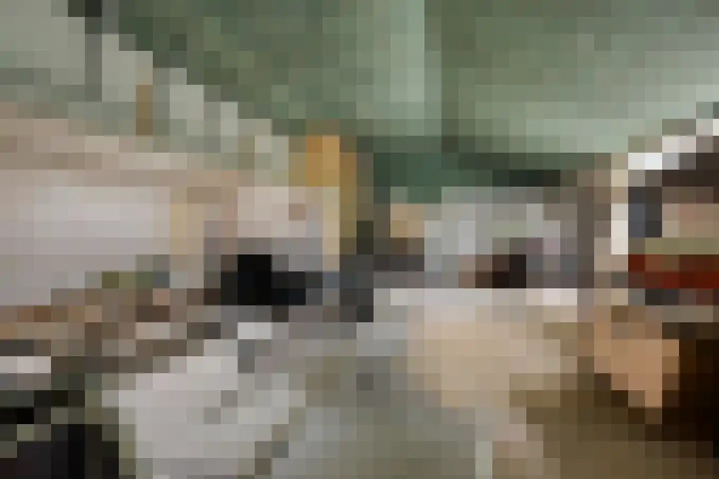 Wouwseweg 23 Halsteren thumbnail 52