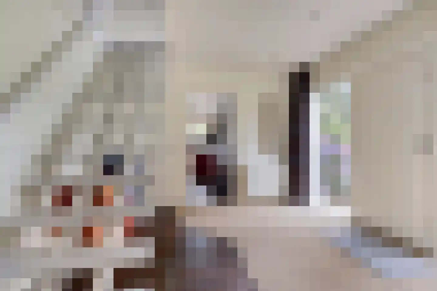 Wouwseweg 23 Halsteren thumbnail 9