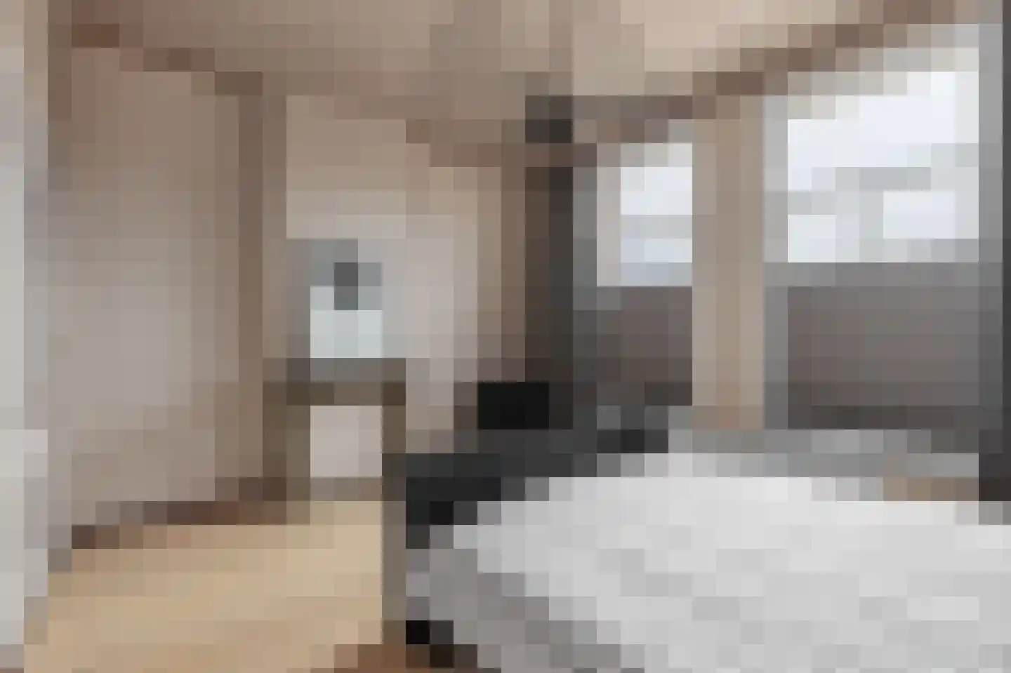 Wouwseweg 56 Roosendaal thumbnail 33