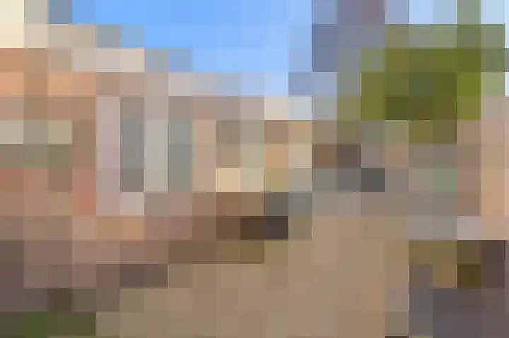 Wouwseweg 83 Roosendaal thumbnail 37
