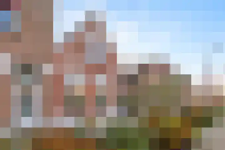 Wouwseweg 83 Roosendaal thumbnail 50