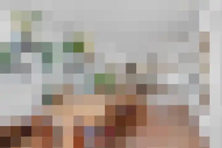 Wouwseweg 83 Roosendaal thumbnail 8