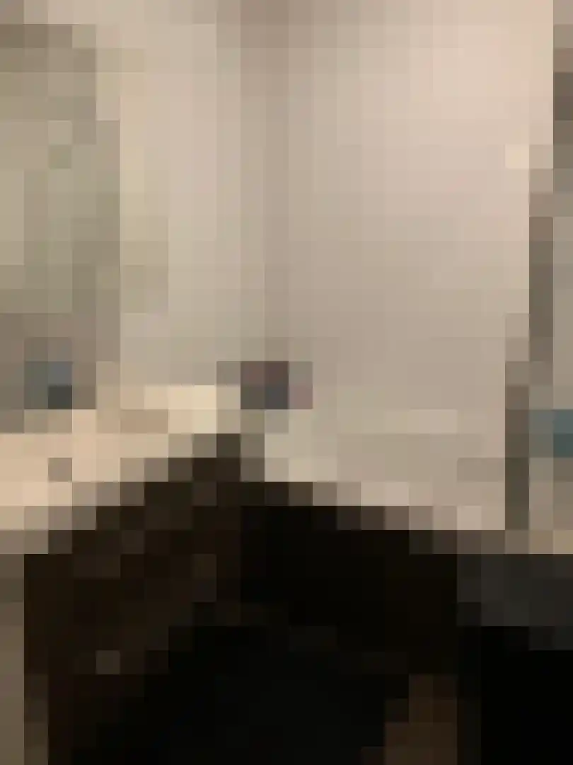 Wouwseweg 86 Roosendaal thumbnail 6