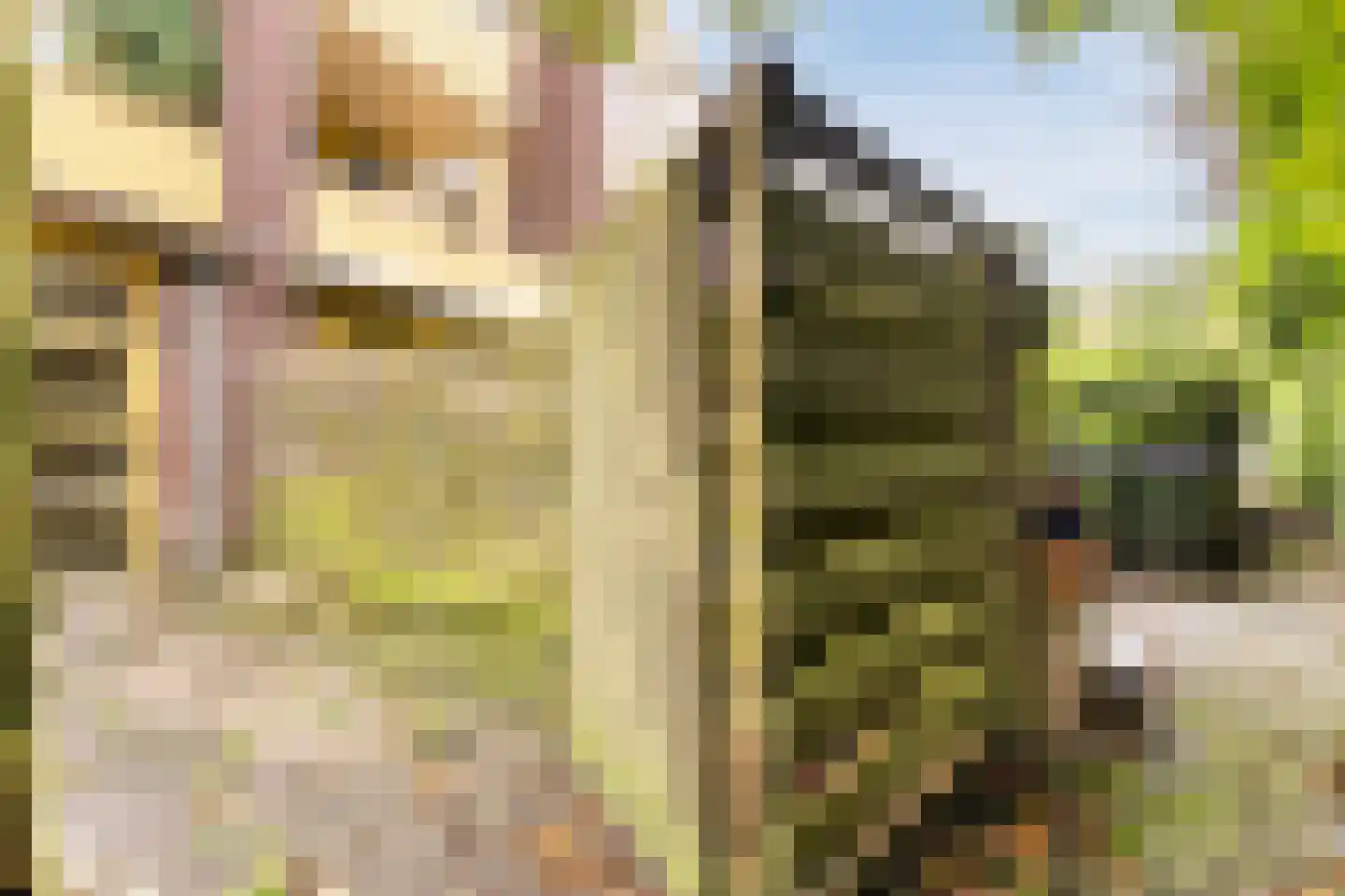 Wouwstraat 16 Assen thumbnail 34