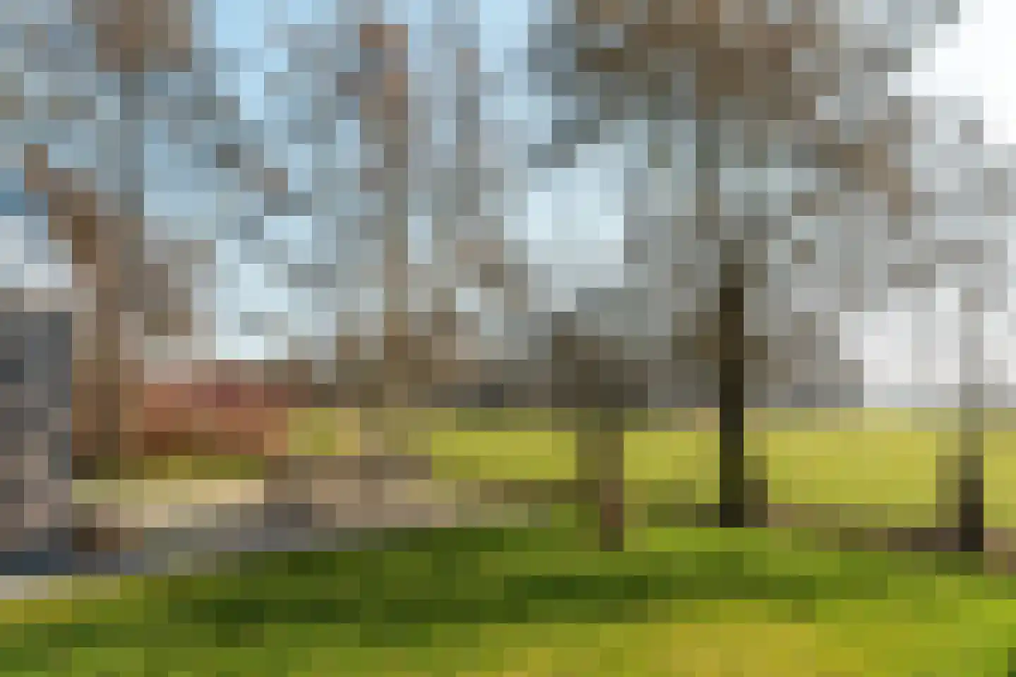 Wredehof 17 Rohel thumbnail 10
