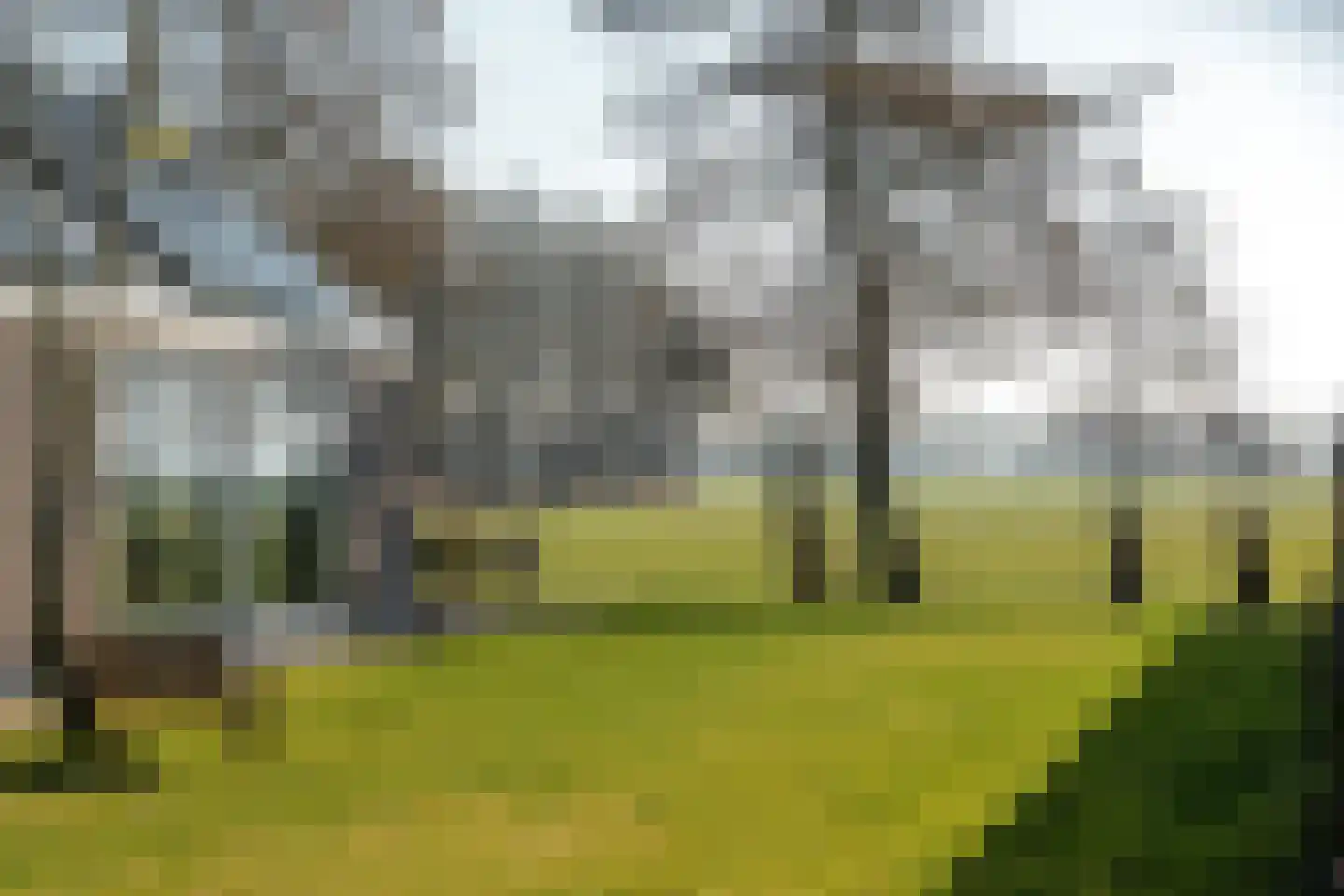 Wredehof 17 Rohel thumbnail 14