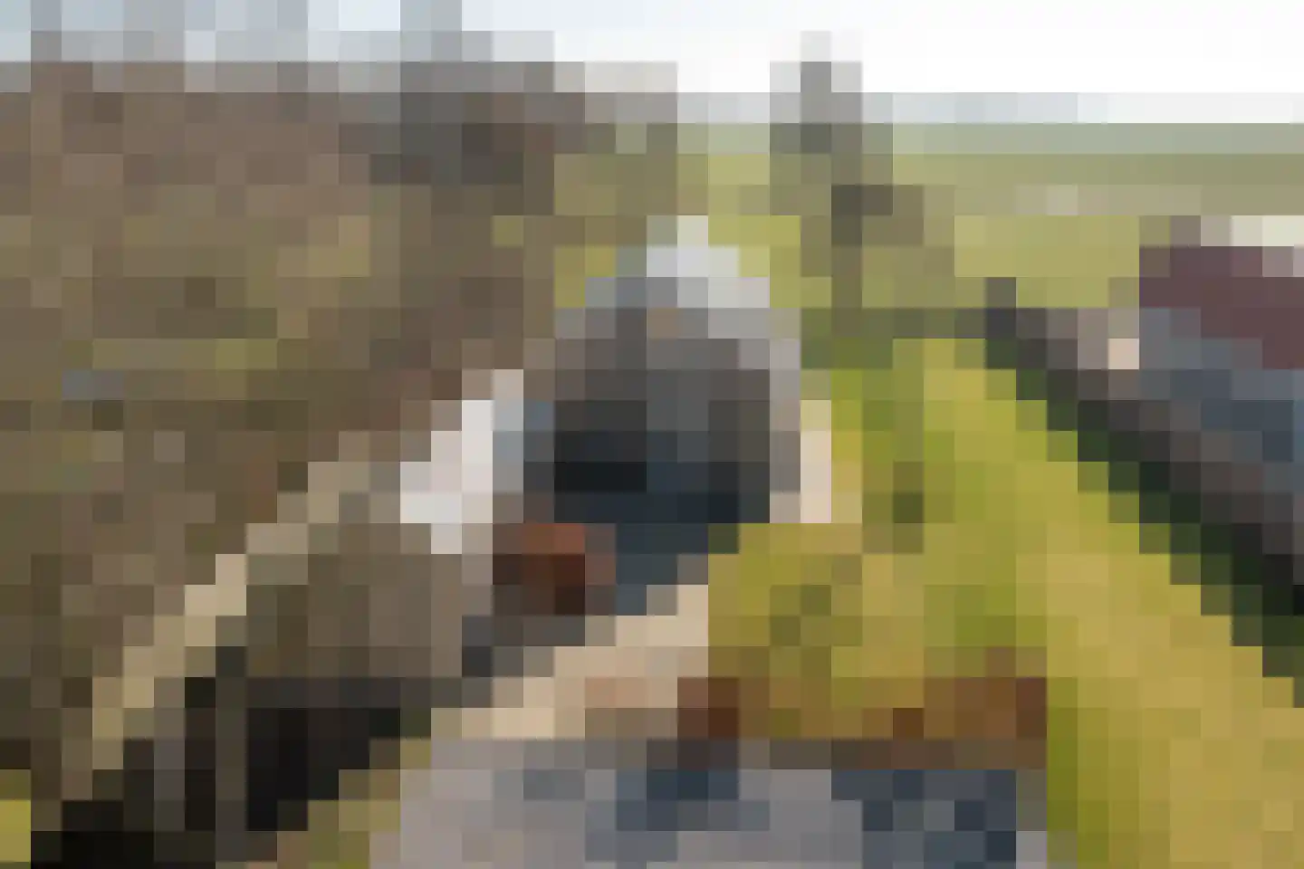 Wredehof 17 Rohel thumbnail 15