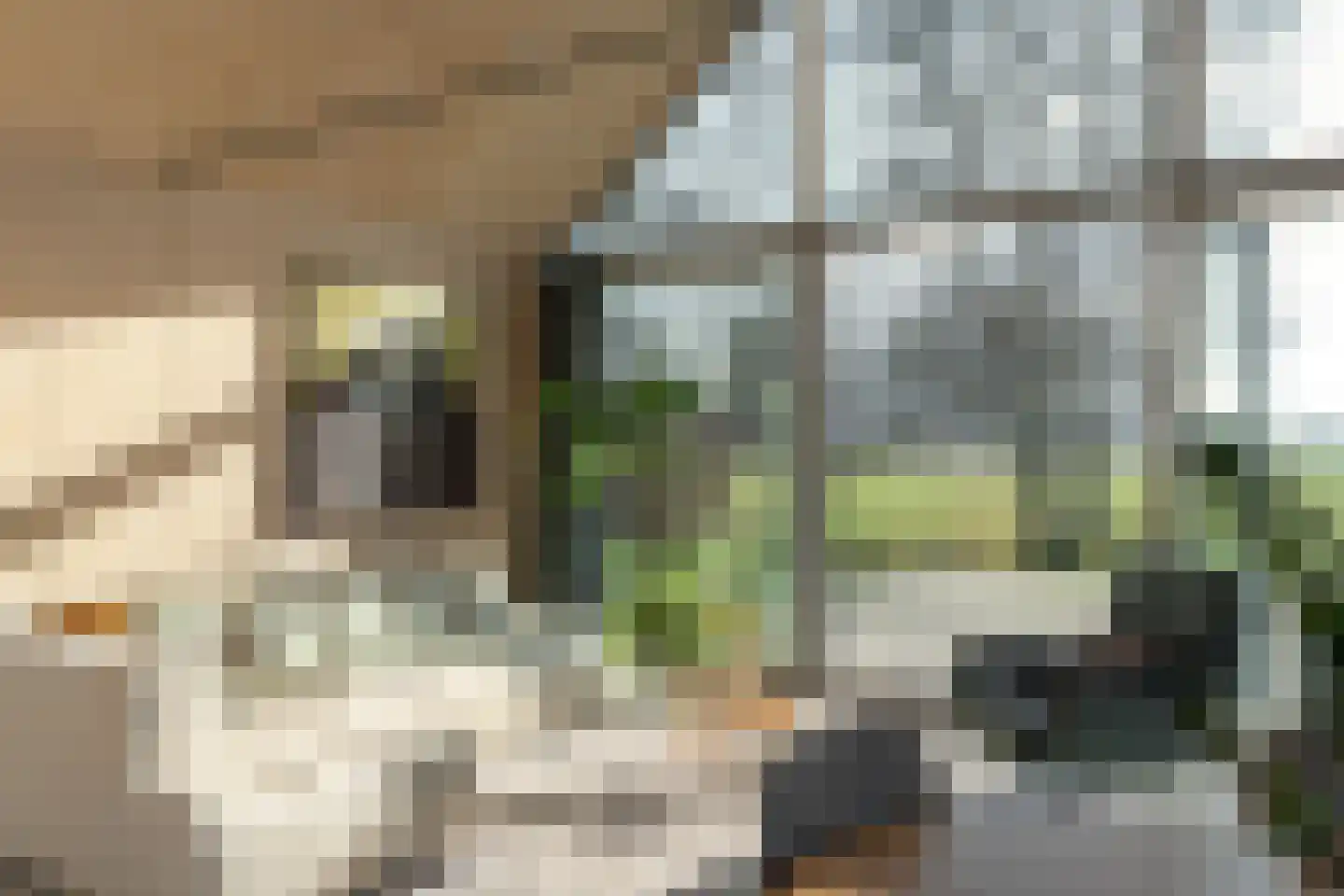 Wredehof 17 Rohel thumbnail 19