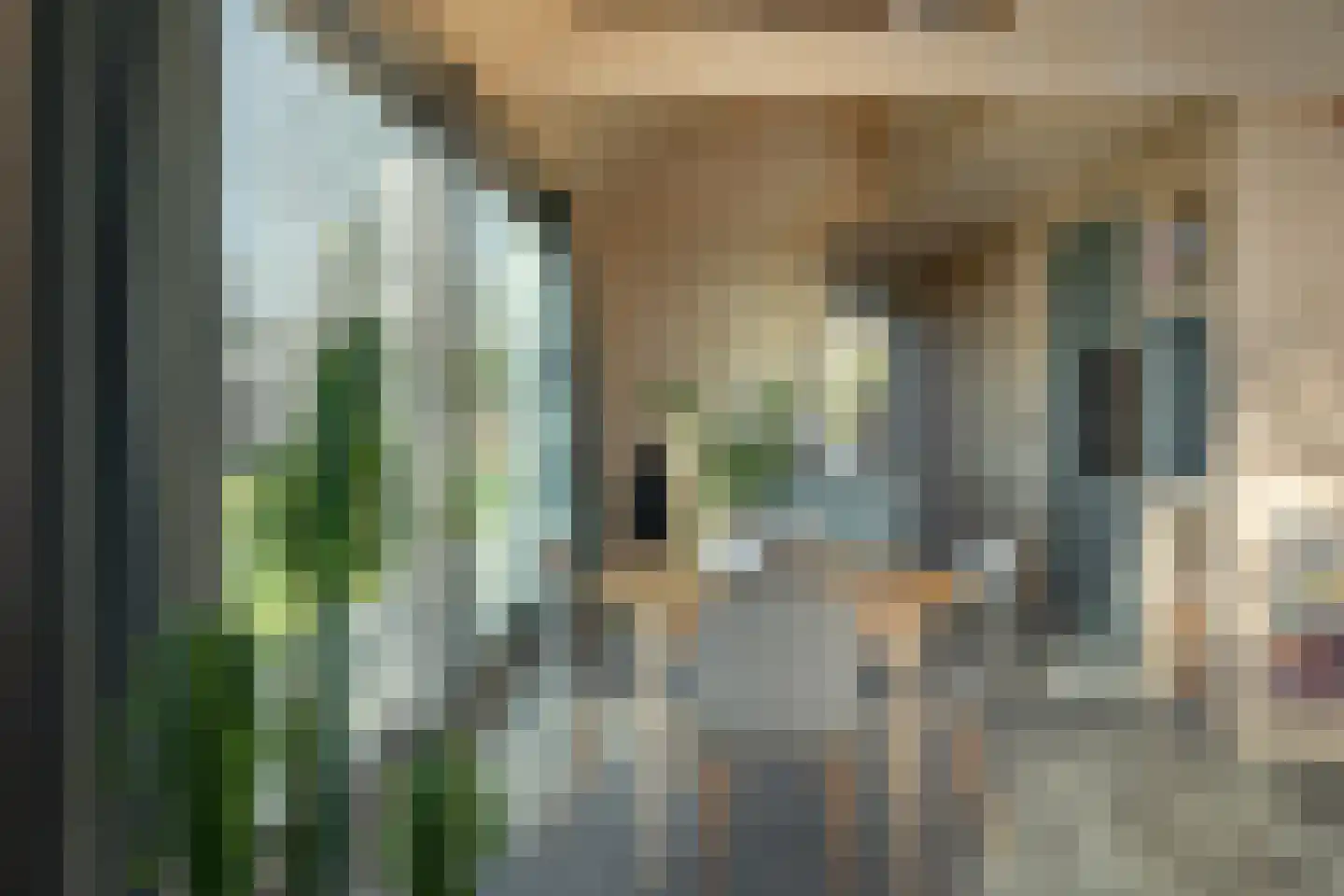 Wredehof 17 Rohel thumbnail 21