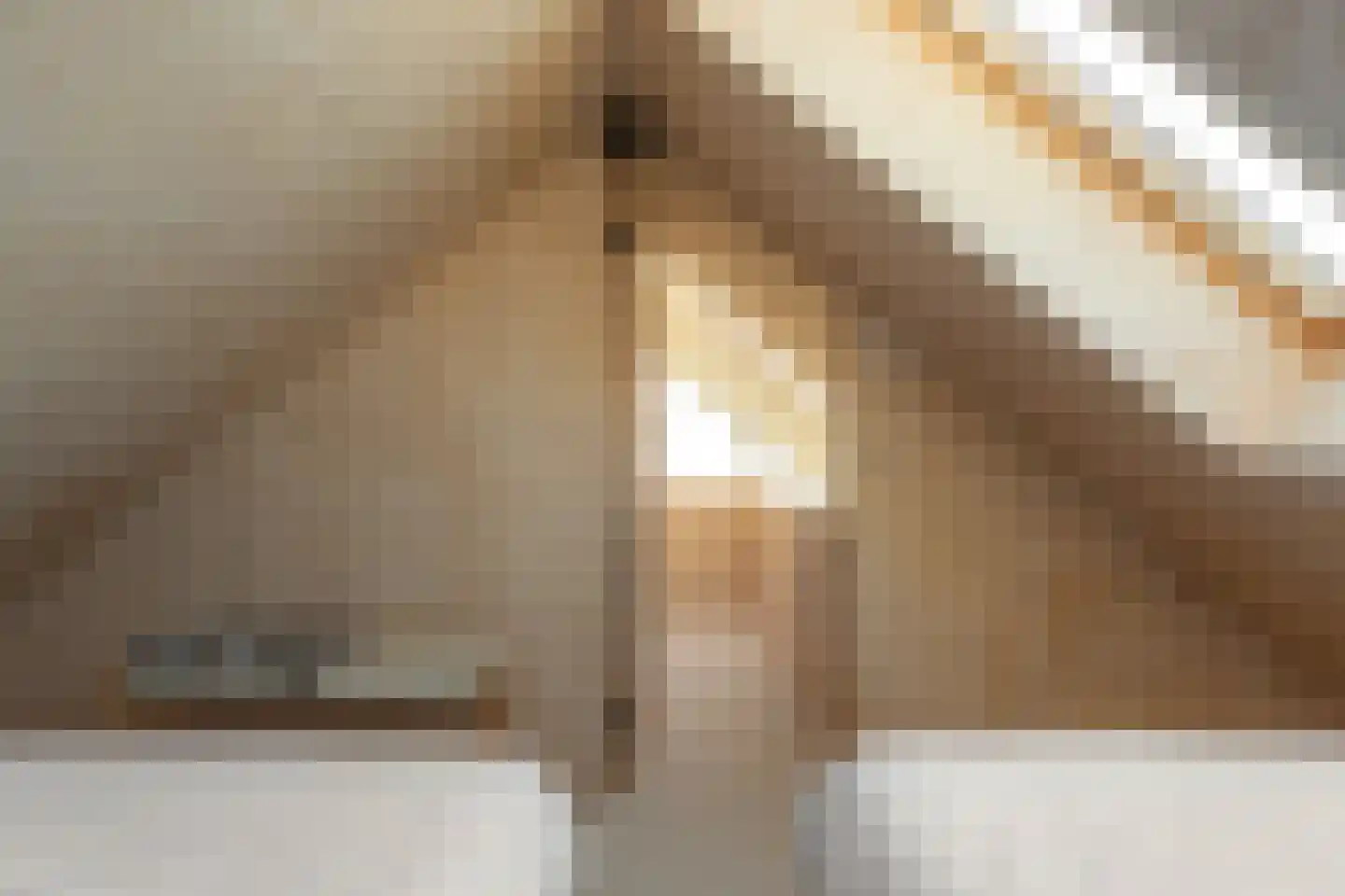 Wredehof 17 Rohel thumbnail 30