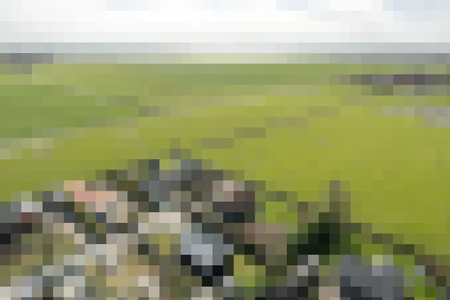 Wredehof 26 Rohel thumbnail 23