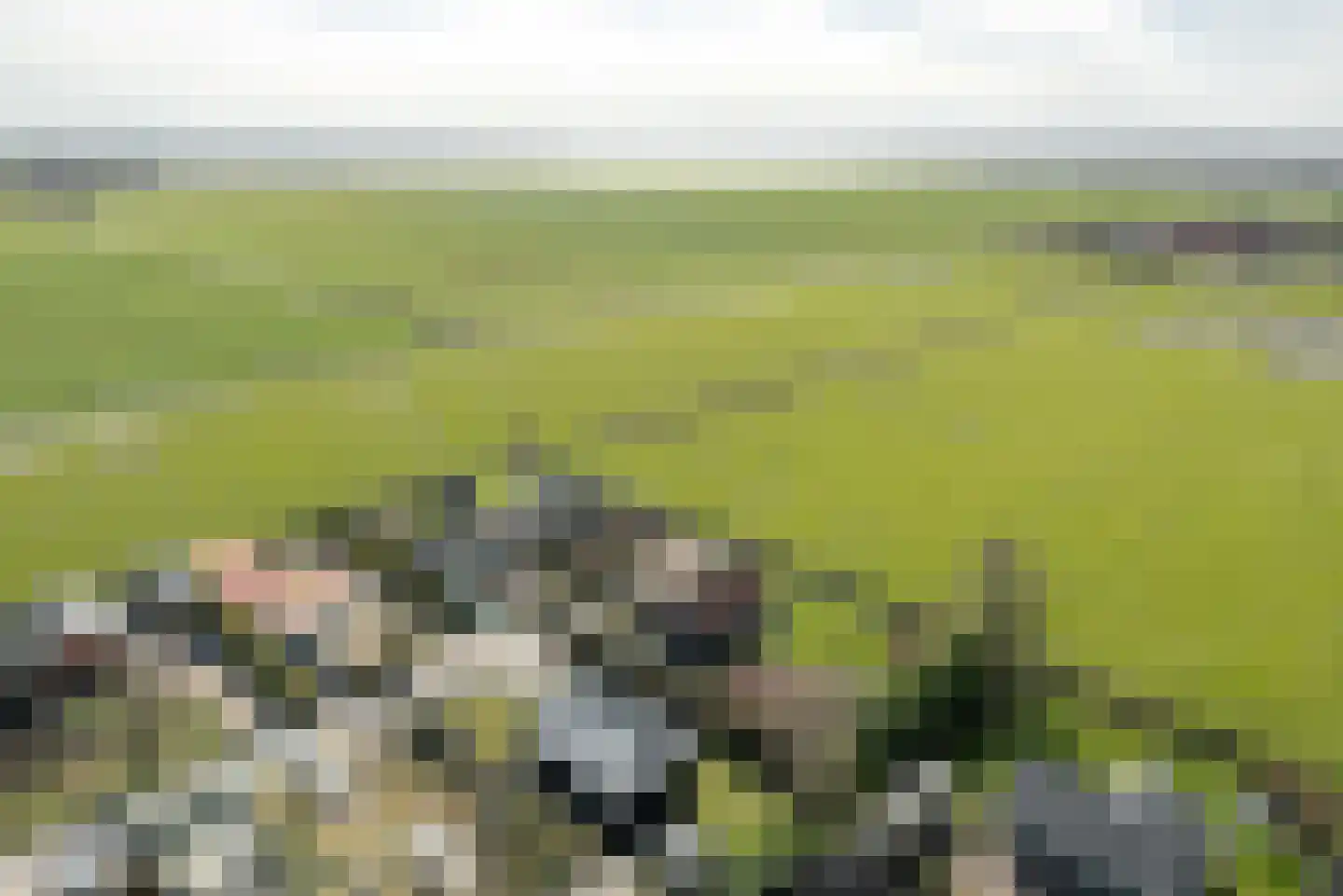 Wredehof 26 Rohel thumbnail 23