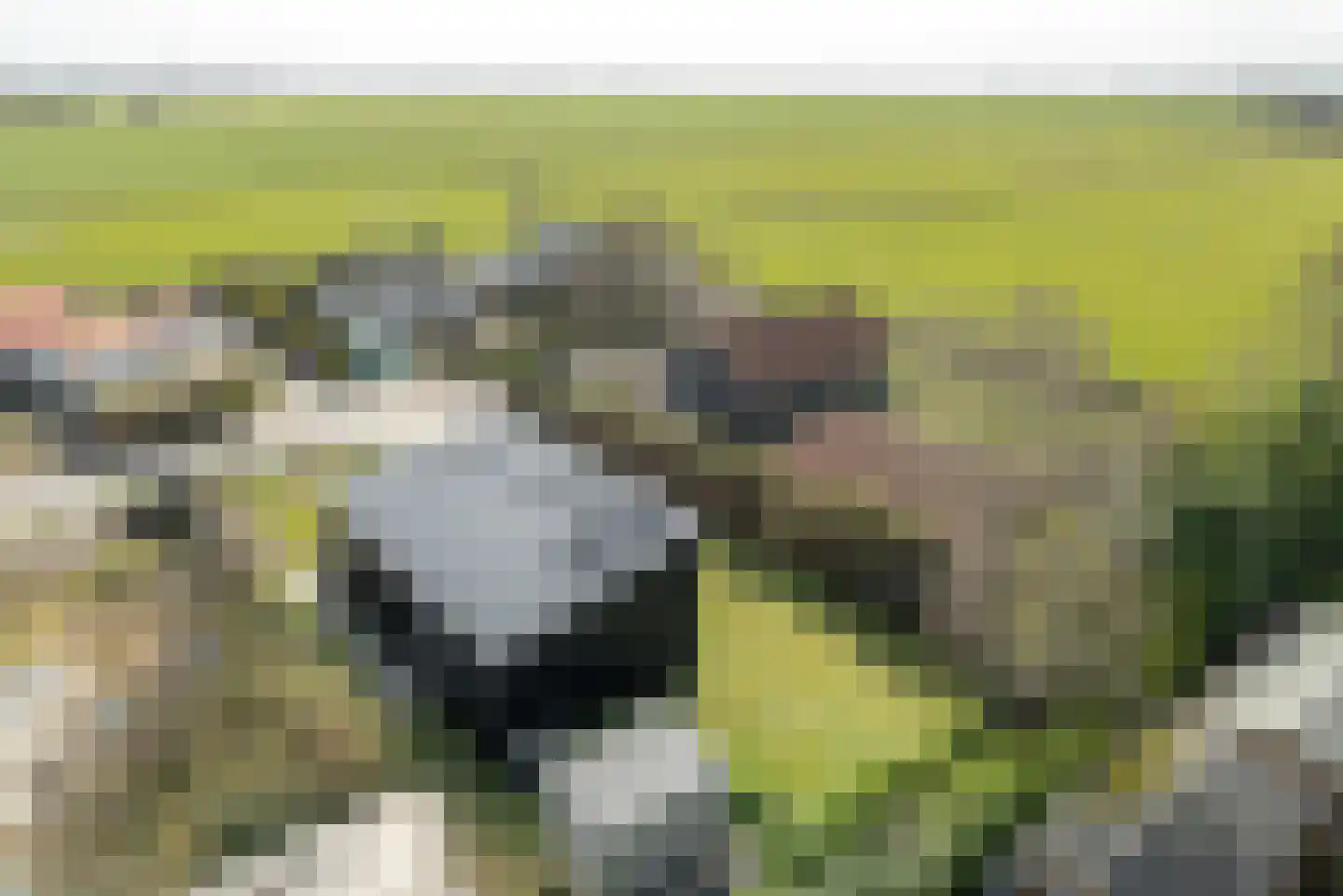 Wredehof 26 Rohel thumbnail 25