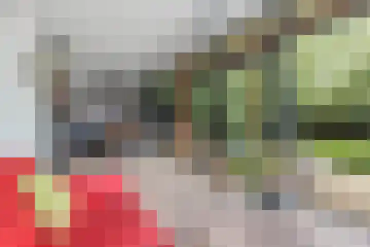 Wredehof 44 Rohel thumbnail 10