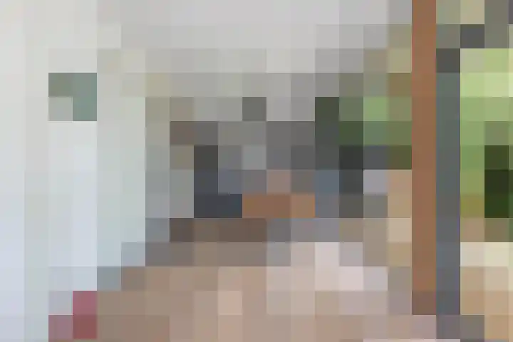 Wredehof 44 Rohel thumbnail 12