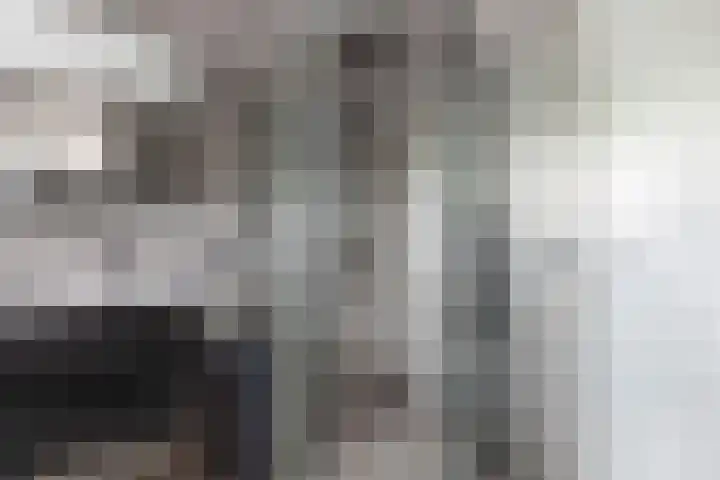 Wredehof 44 Rohel thumbnail 20