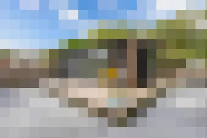 Wredehof 44 Rohel thumbnail 25
