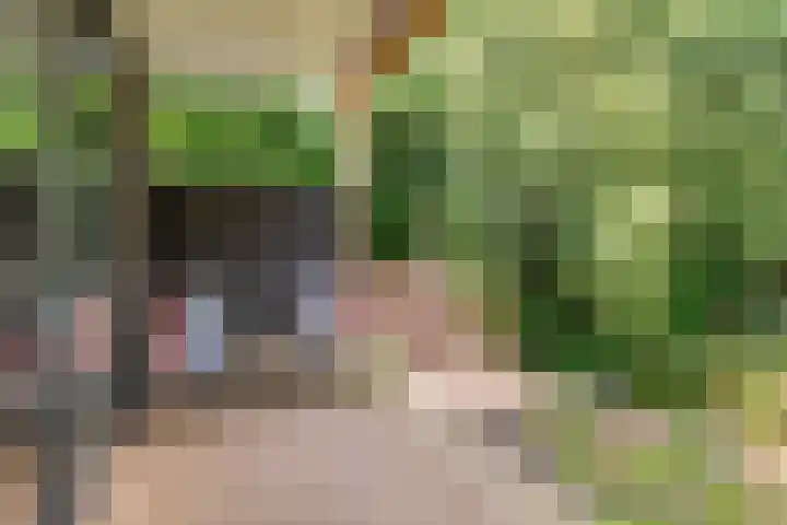 Wredehof 44 Rohel thumbnail 31