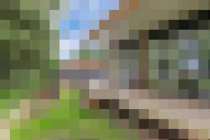 Wredehof 44 Rohel thumbnail 32