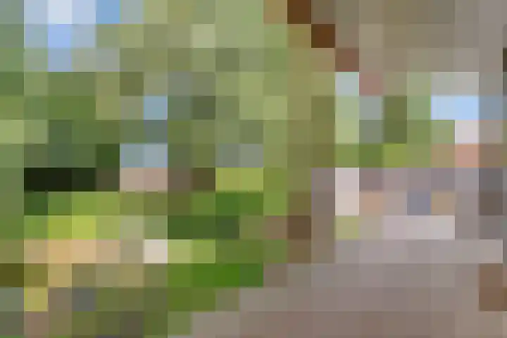 Wredehof 44 Rohel thumbnail 33