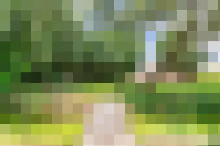 Wredehof 44 Rohel thumbnail 34