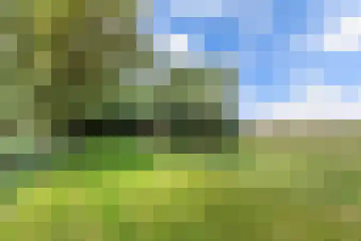 Wredehof 44 Rohel thumbnail 35