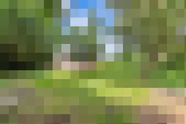 Wredehof 44 Rohel thumbnail 36
