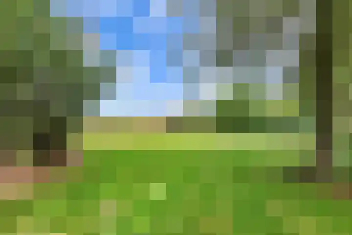 Wredehof 44 Rohel thumbnail 37