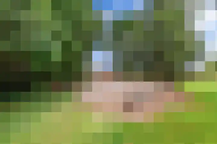 Wredehof 44 Rohel thumbnail 38