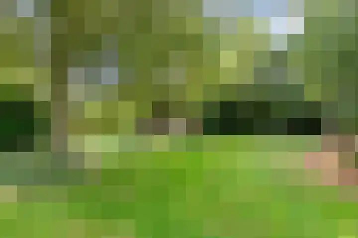 Wredehof 44 Rohel thumbnail 4