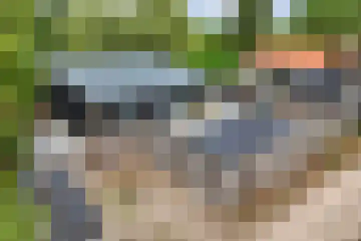 Wredehof 44 Rohel thumbnail 42