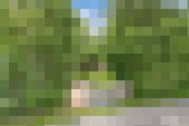 Wredehof 44 Rohel thumbnail 44