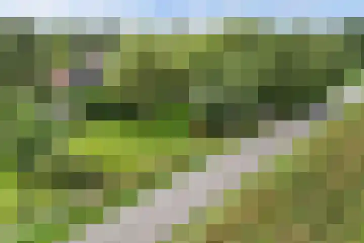 Wredehof 44 Rohel thumbnail 45