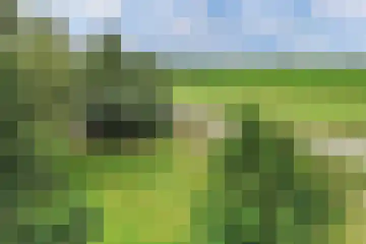 Wredehof 44 Rohel thumbnail 46